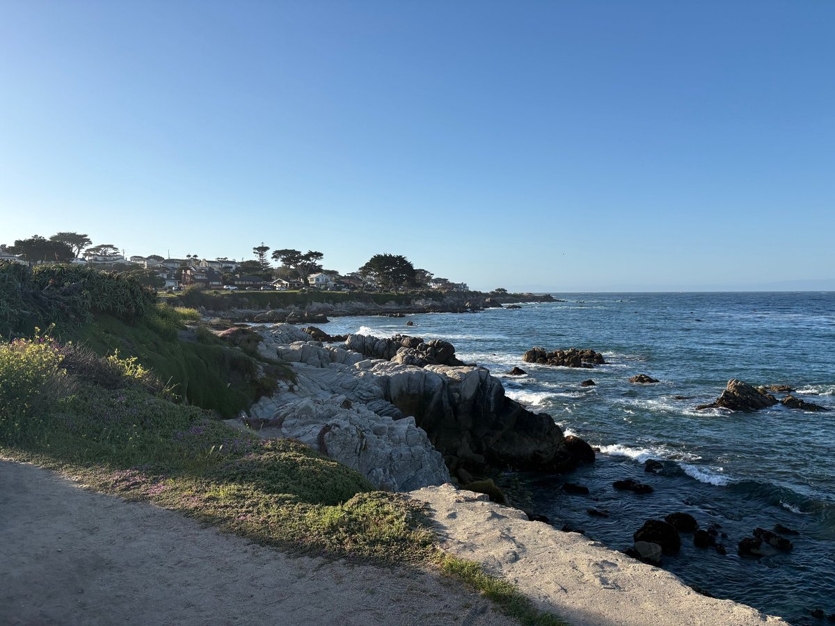 Rocky coastline with trees and green vegetation overlooking calm blue ocean and distant horizon